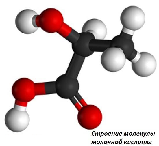 Из чего состоит вино