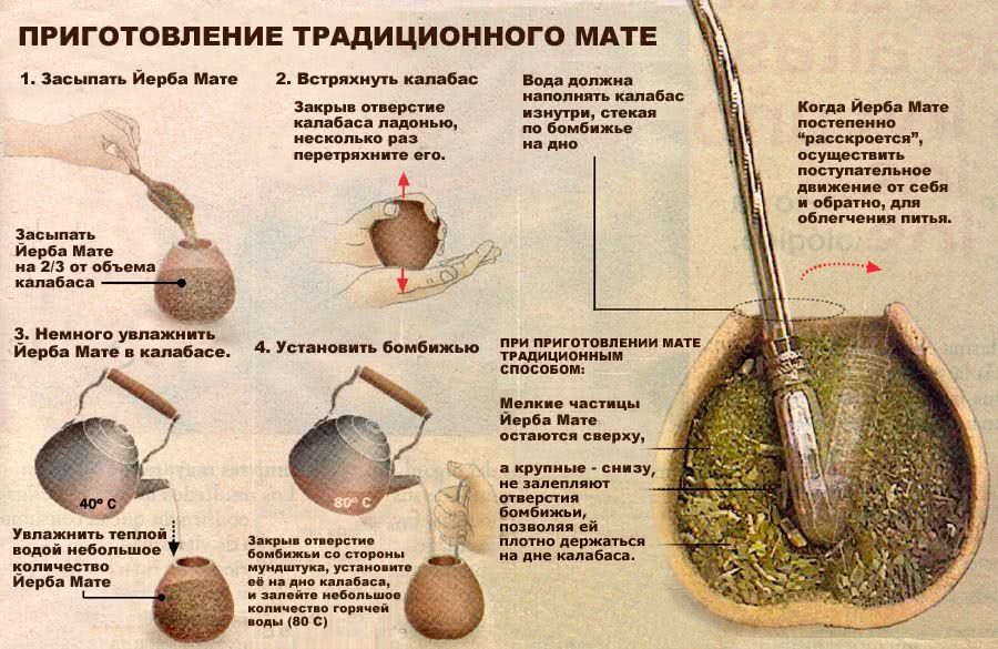 Как заваривать мате?