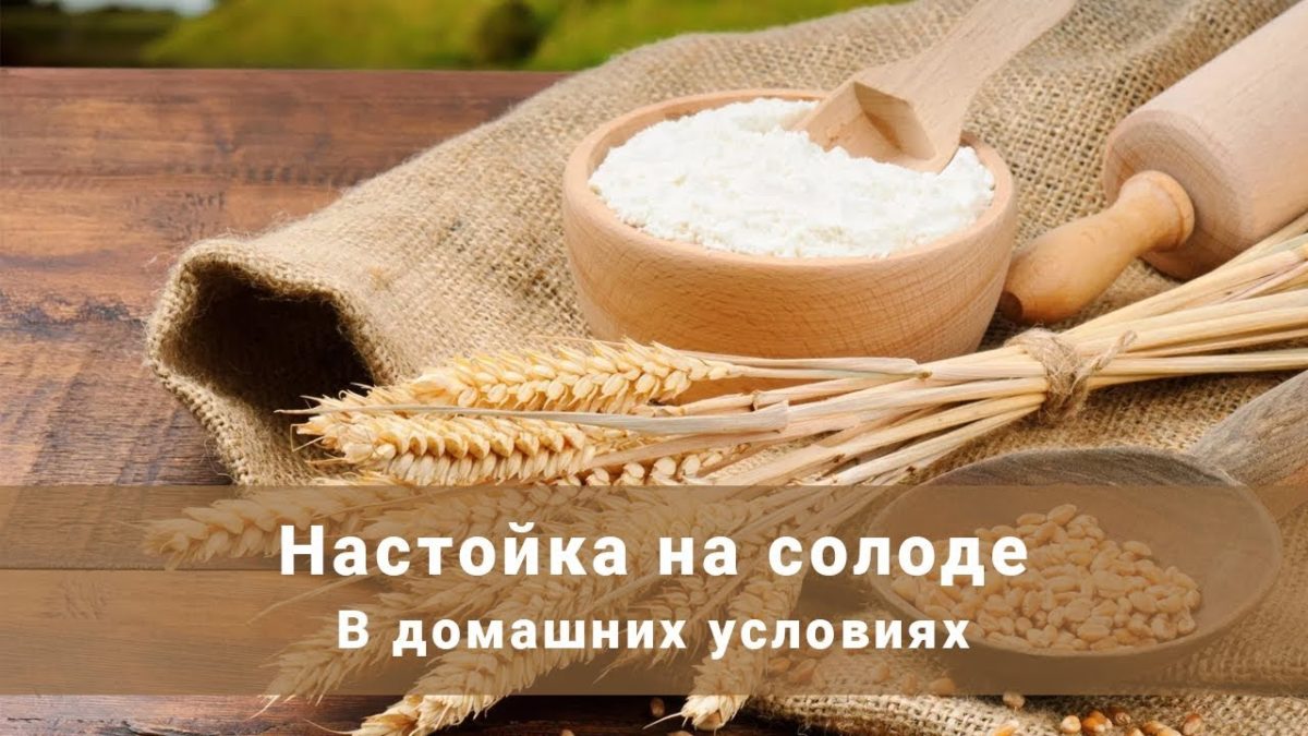 Рецепт приготовления домашней настойки на солоде